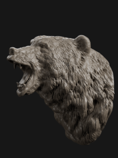 Bear Head Grin 3D print model 3D Model