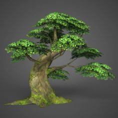 Game Ready Low Poly Tree 06 3D Model