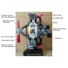 Radial Engine, 7-Cylinders, Cutaway 3D Print Model