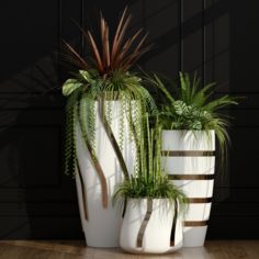 Plants 43 3D Model