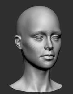 Female Head Base Mesh 3D Model