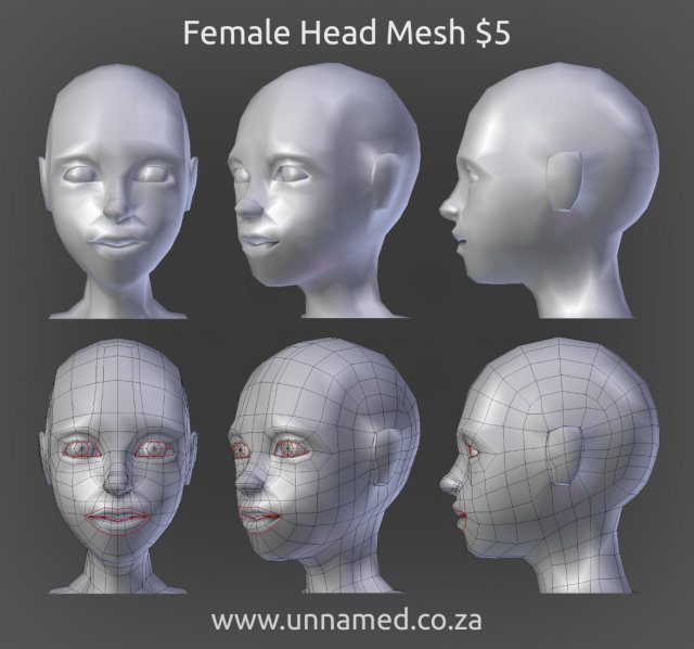 Female Head Model 3D Model