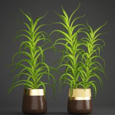 Aloe vera plant in pot 3D Model