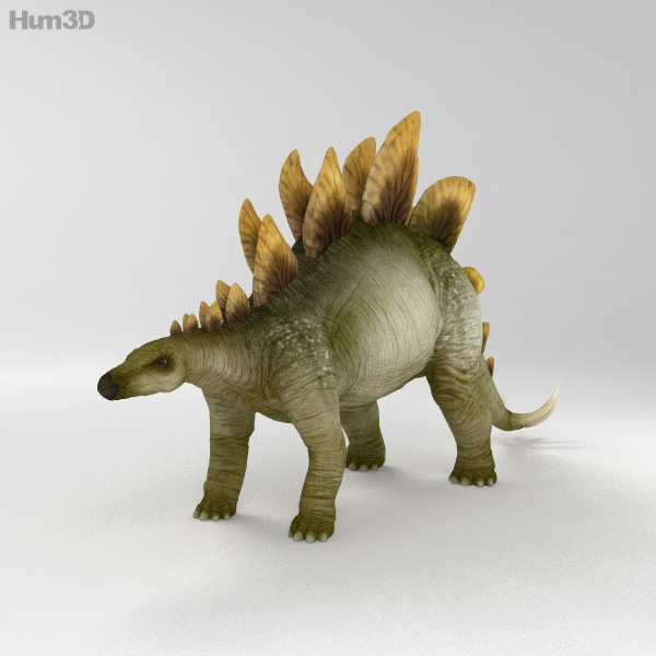 Stegosaurus HD 3D Model