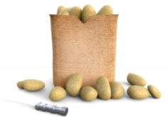 Potatoes and bag of potatoes 3D Model