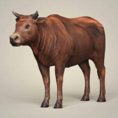 Game Ready Low Poly Bull 3D Model