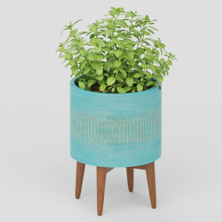 Vray Ready Potted Plant 3D Model