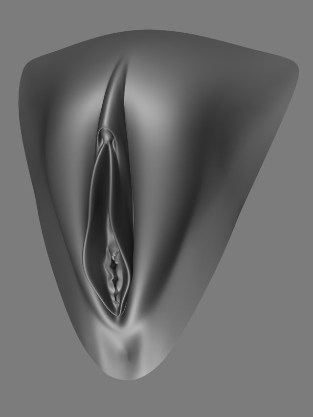 Female Genital Realistic vagina 3D Model