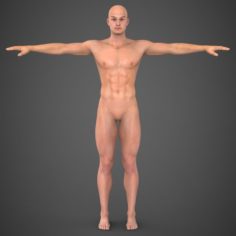 Realistic Male Robert 3D Model