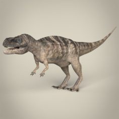Realistic Dinosaur Tyrannosaurus Rex 3D Model