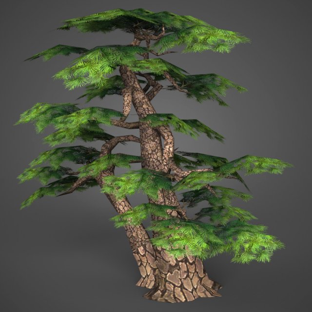 Game Ready Low Poly Tree 16 3D Model
