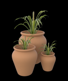 Clay pots with plants 3D Model