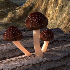 Mushroom trio 3D Print Model
