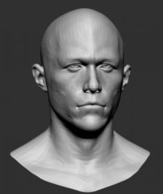 Male Head Base Mesh 3D Model