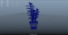 Plant rubber tree 3D Model
