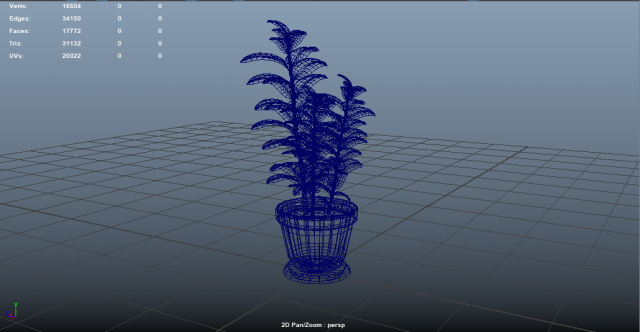 Plant rubber tree 3D Model