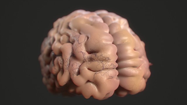 Brain – Virus 3D Model