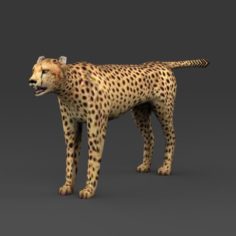 Game Ready Low Poly Leopard 3D Model