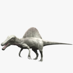 Spinosaurus – rigged 3D Model