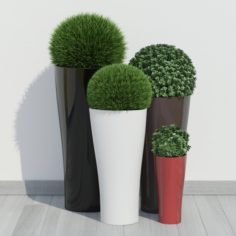 Plants 11 3D Model