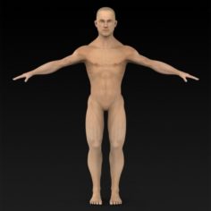Game Ready Muscular Human 3D Model