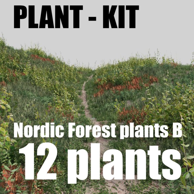 Nordic forest plants B collection 3D Model