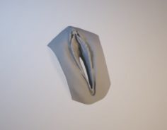 3D Vagina 3D Model