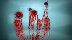 Cancer Growth Static 3 3D Model