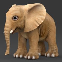 Game Ready Baby Elephant 3D Model