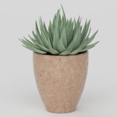 Vray Ready Potted Plant 3D Model