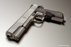 Smith-and-Wesson 3D Model