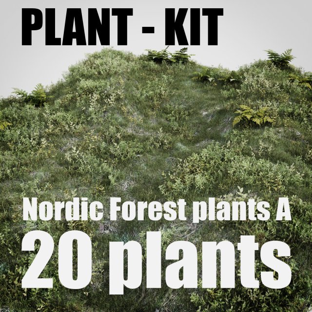 Nordic forest plants A collection 3D Model