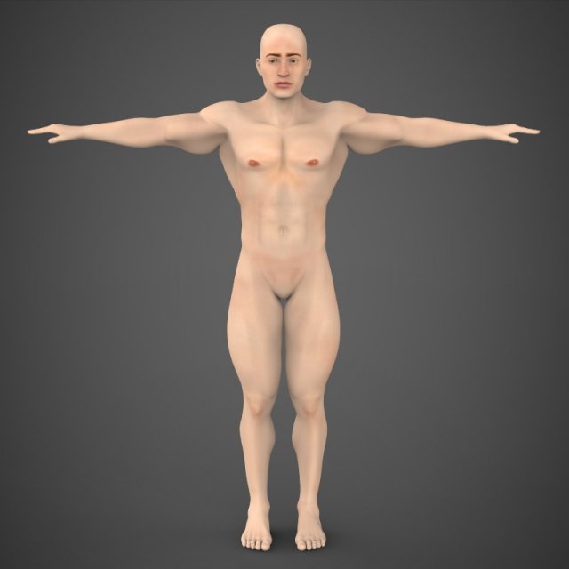Game Ready Muscular Male 3D Model