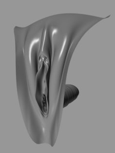 Female Genital Realistic vagina 3D Model