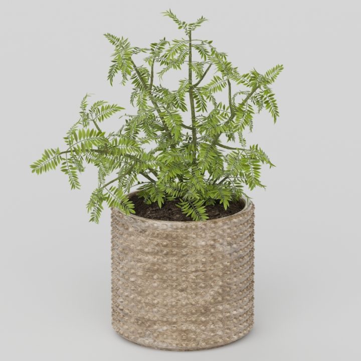 Vray Ready Potted Plant 3D Model