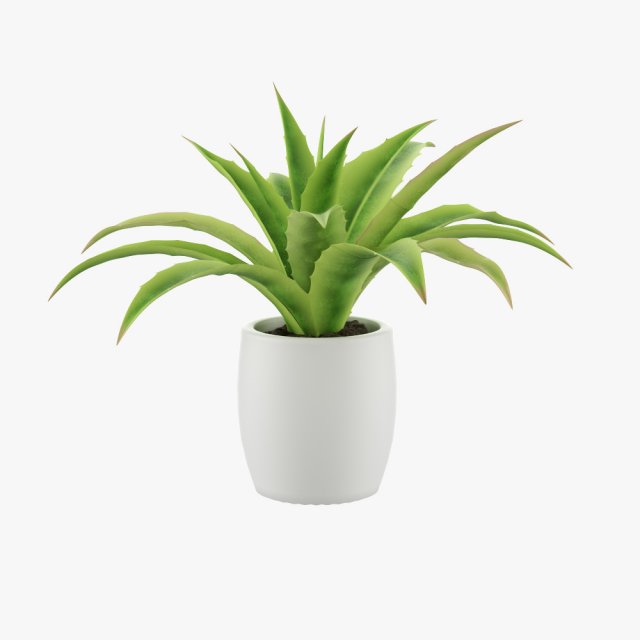 Pot Plant 3D Model