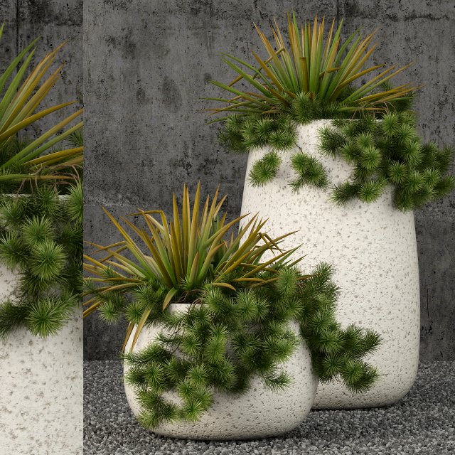 Plants collection 57 3D Model