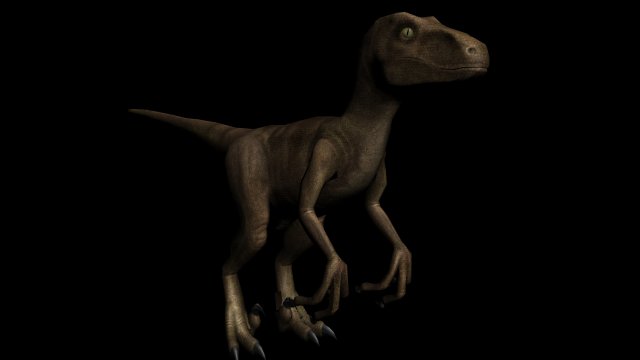 Raptor 3D Model