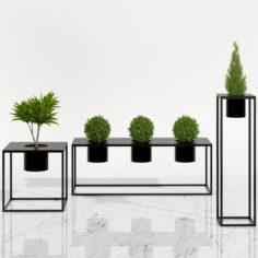 Room plants 05 3D Model