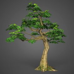 Game Ready Low Poly Tree 13 3D Model