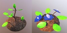 Evolution Flowers 3D Model