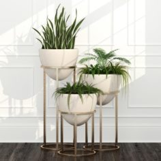 Room plants 14 3D Model