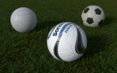 Soccer balls 3D Model