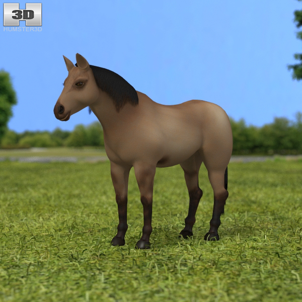 American Quarter Horse 3D Model