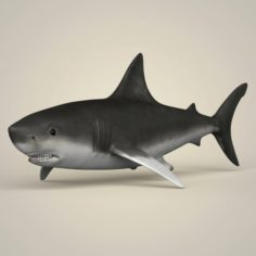 Game Ready Realistic Shark 3D Model