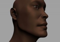 Man Face High and low poly 3D Model