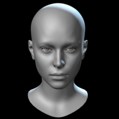 Head Base Mesh 3D Model