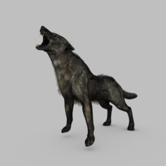 Wolf Animated Attack 3D Model
