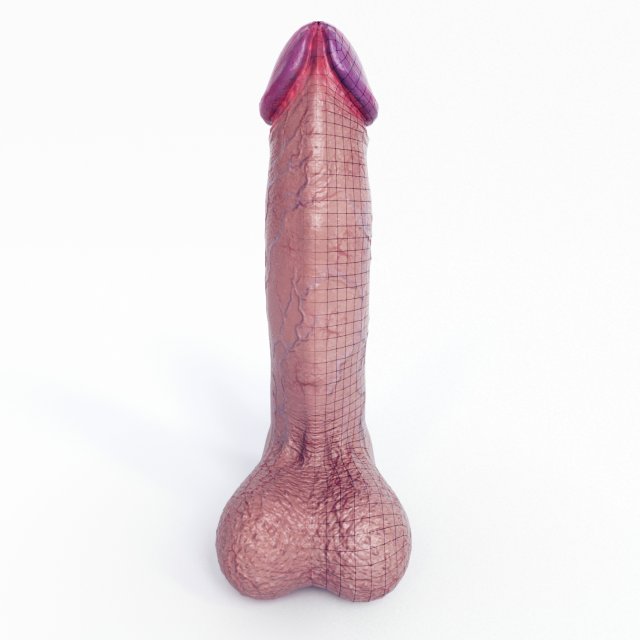 Low Poly Realistic Male Penis 3D Model