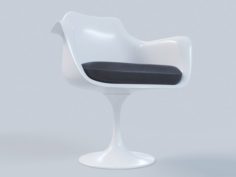 Tulip Arm Chair 3D Model